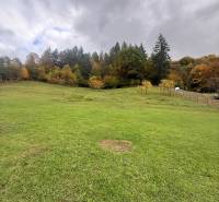 A view of a green plot suitable for living in Zbor surrounded by forest.