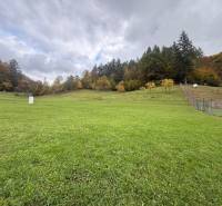A vast green area with a wooded background in the Zbora area, Zbora, designated for residential land.