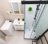 Bathroom in a 2-room apartment with a sink, shower, washing machine, and mirror.