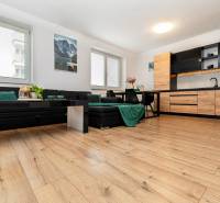 Living room in a two-room apartment with black furniture and a wooden decor floor.
