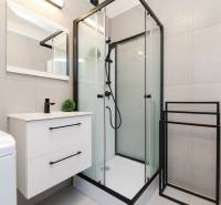 Shower enclosure with a glass screen and a washbasin cabinet in a 2-room apartment.