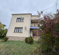 A family house on Gaštanová Street in Vinica with a grassy plot and shrubs.