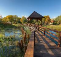 A garden with trees and a cottage in Liptovský Mikuláš. Autumn leaves cover the lawn.