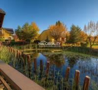 A wooden bridge by the lake with a gazebo in the beautiful autumn setting of Liptovský Mikuláš.
