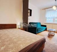 A room in a one-room apartment with a bed, a sofa, and a wooden decor floor.