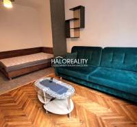 A room in a one-bedroom apartment with a sofa, bed, and wooden decor flooring.