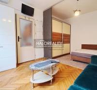 A room with a wooden decor floor, a sofa, a table, and a built-in wardrobe in a studio apartment.