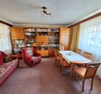 Living room with carpeted floor, red sofa, and bookshelf in a family house.