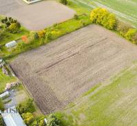 Arable land in Blahová surrounded by greenery and rural homesteads, suitable for plots - housing.