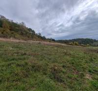 Plots - housing on Chotčanská Street in Stropkov, surrounded by nature and greenery.