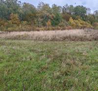 A grassy plot for residential use on Chotčanská Street, Stropkov, surrounded by forest vegetation.