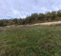 Grassy plots on Chotčanská Street in Stropkov, ideal for living.