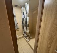 A cottage with a bathroom, shower, and bright tiled floor with a wood decor.