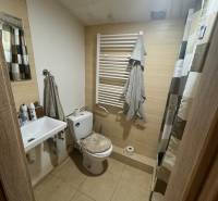Bathroom in the Cottage with toilet, shower, and towels on the radiator.