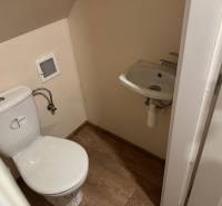 Small toilet with a sink and a wooden decor floor in Chata na Píle.