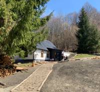 A cottage surrounded by forest in the village of Píla with a footpath and stored wood.