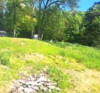 A plot in Hokovce with a grassy area, surrounded by trees and natural surroundings.