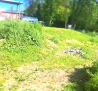 The garden of a family house in Hokovce with greenery and trees in the background.