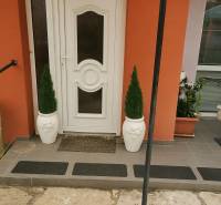 The entrance door of a family house in Zlaté Moravce, surrounded by flower pots and stone paving.
