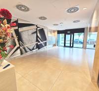 Lobby with flowers and modern art in the building at Bottova 6, Bratislava - Staré Mesto.