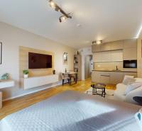 Interior of a 1-room apartment with a kitchen, wooden decor flooring, and comfortable seating.