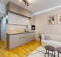 Kitchen unit and sofa in a studio apartment with a wooden decor floor.