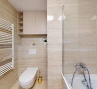 Bathroom in a studio apartment with a bathtub, toilet, and white ladder radiator.