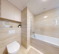 Bathroom with a bathtub and built-in cabinet in a studio apartment.