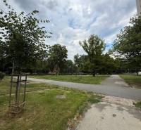 A sidewalk surrounded by greenery on Lesnícka Street in Košice - Západ district.