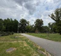 A park path surrounded by greenery on Lesnícka Street in Košice - West district.