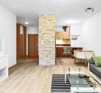 Living room in a 2-room apartment with wood-patterned flooring, TV stand, seating area, and dining nook.