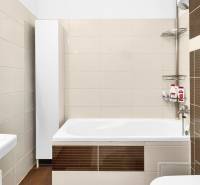 Bathroom with a bathtub and brown tiles in a 2-room apartment.