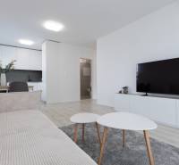 Living room with wood-patterned flooring, a sofa, a television, and a dining table in a two-room apartment.