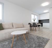Living room with a sofa, dining table, and kitchen in a 2-room apartment with flooring.