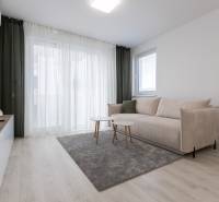 Living room in a two-room apartment with a sofa, coffee tables, and a wooden decor floor.