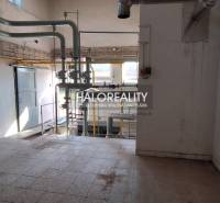 Commercial spaces with industrial pipes and tiled flooring.