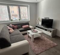 Living room with a sofa, television, carpet, and wooden decor flooring in a two-room apartment.