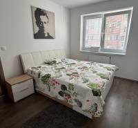 Bedroom in a two-room apartment with a wood-patterned floor and a picture on the wall.