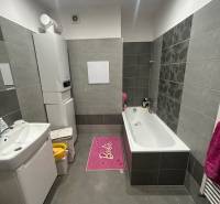 Bathroom in a 2-room apartment with gray tiles, a bathtub, and a sink.