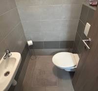 Bathroom with toilet and sink in a 2-room apartment.