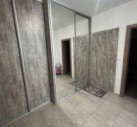 Hallway of a 2-room apartment with a large mirrored wardrobe and wall hooks.