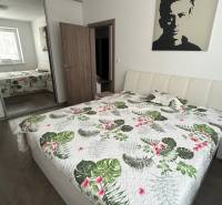 Bedroom in a 2-room apartment with a double bed and a mirrored wardrobe on a wooden-decor floor.