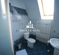 A bathroom with a skylight, toilet, and blue tiles in hotels and guesthouses.
