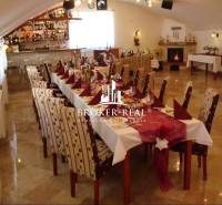 Interior of hotels and guesthouses with set tables, a fireplace, and a bar in the background.