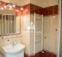 A bathroom with a sink, shower, and ladder radiator in hotels and guesthouses.