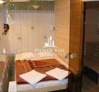 A hotel room with a bed and an adjoining sauna, rustic wooden interior.