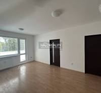 Bright living room in a 3-room apartment with wood-patterned flooring and a large window.