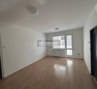 Spacious living room with wood-patterned flooring in a three-room apartment.