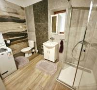 A bathroom in a family house with a washing machine, shower corner, and floor with a wooden decor.
