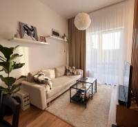 Living room of a one-room apartment with a sofa, table, plant, and wood-patterned floor.